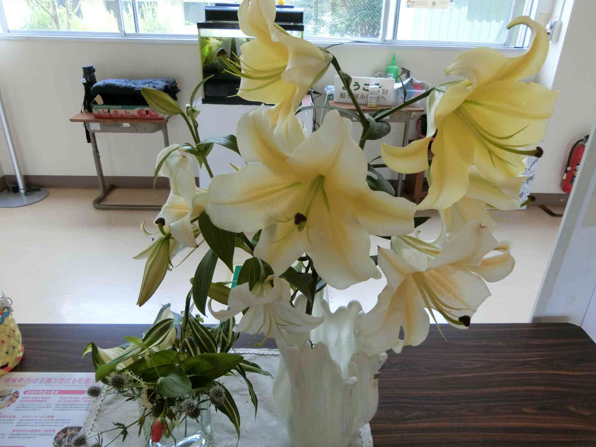 CIMG0470